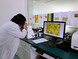 zoty��ŷ��(�й����޹�˾)�ٷ���վ