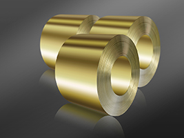 zoty��ŷ��(�й����޹�˾)�ٷ���վ